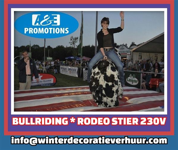 Grote foto rodeostier verhuur cowboy attractie drachten diversen overige