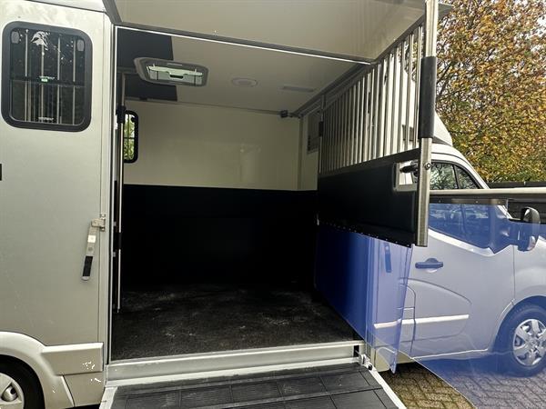 Grote foto horsetruck paardenvrachtwagen renault master nieuw 2025 hengstenuitvoering bpm vrij doe het zelf en verbouw vrachtwagens