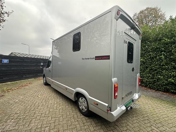 Grote foto horsetruck paardenvrachtwagen renault master nieuw 2025 hengstenuitvoering bpm vrij doe het zelf en verbouw vrachtwagens