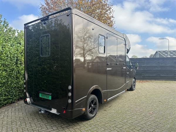 Grote foto horsetruck paardenvrachtwagen renault master atm nieuw 2025 hengstenuitvoering bpm vrij doe het zelf en verbouw vrachtwagens