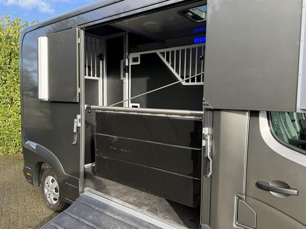 Grote foto horsetruck paardenvrachtwagen nieuw 2025 bpm vrij hengstenuitvoering doe het zelf en verbouw vrachtwagens