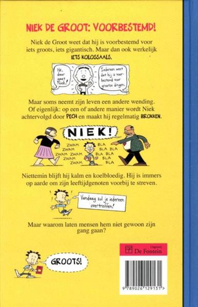 Grote foto brokkenpiloot niek de groot 1 boeken jeugd 13 jaar en ouder