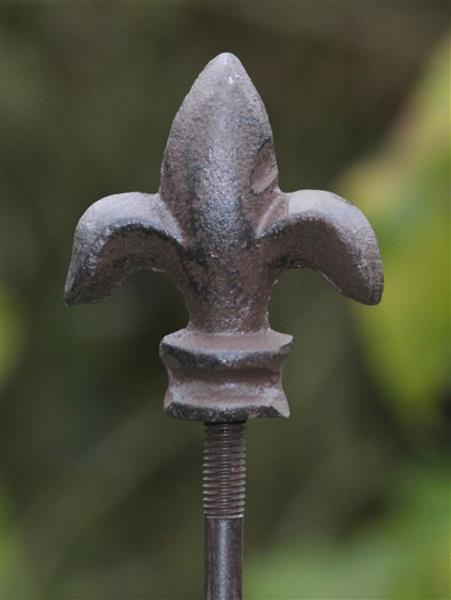 Grote foto plantensteun franse lelie met 3 ogen 175cm py26f tuin en terras overige tuin en terras