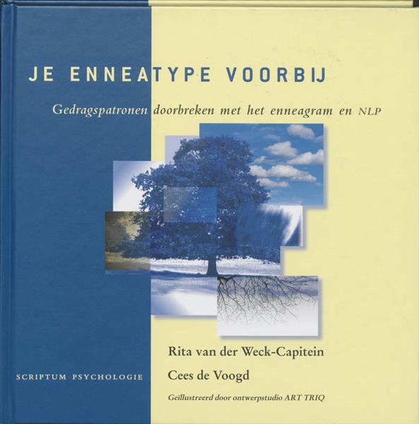 Grote foto je enneatype voorbij boeken psychologie