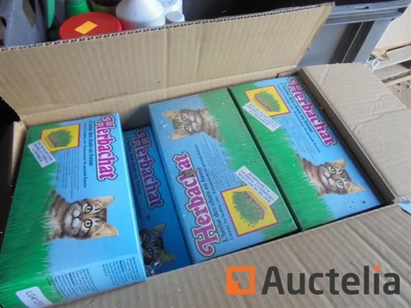 Grote foto kattenkruid tuin en terras overige tuin en terras