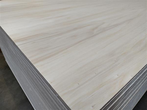 Grote foto multiplex interieur 4mm 122x250cm doe het zelf en verbouw hout en planken