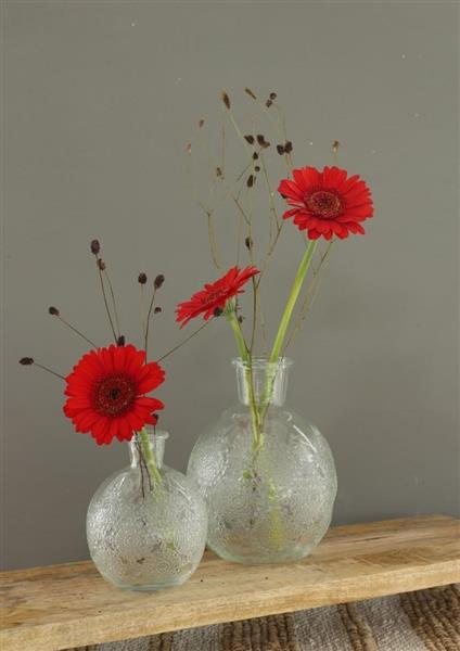 Grote foto gekleurd glazen flesje bologna vaasje kandelaar clear stuk bologna bottle 12 cm hoog 9.5cm diam verzamelen overige verzamelingen