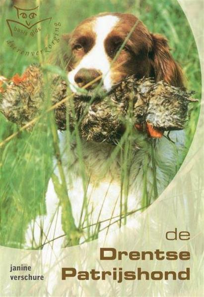 Grote foto drentsche patrijshond basisgids dierenverzorging boeken hobby en vrije tijd
