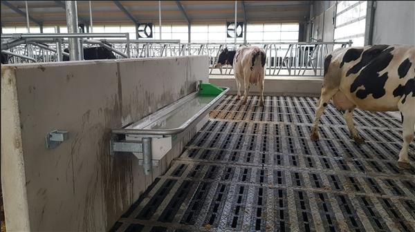 Grote foto drinkbak rvs spinder pingo 400 muurbevestiging dieren en toebehoren runderen