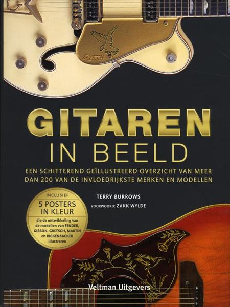 Grote foto gitaren in beeld boeken hobby en vrije tijd