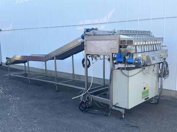 Grote foto sorma f12 126 afweegmachine met rollenbaan elevator agrarisch tuinbouw