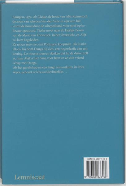 Grote foto het wonder van frieswijck boeken jeugd 13 jaar en ouder