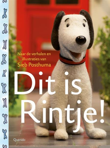 Grote foto dit is rintje boeken jeugd 13 jaar en ouder
