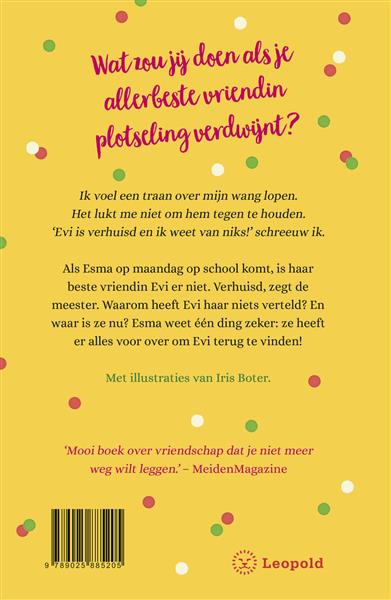 Grote foto confetti vriendschap boeken overige boeken