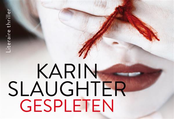 Grote foto gespleten dwarsligger 672 boeken thrillers