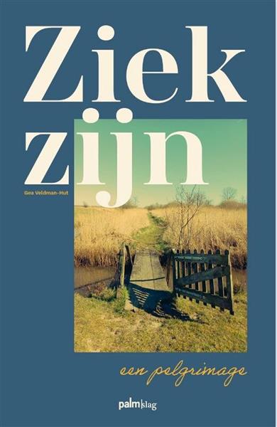 Grote foto ziek zijn een pelgrimage boeken overige boeken
