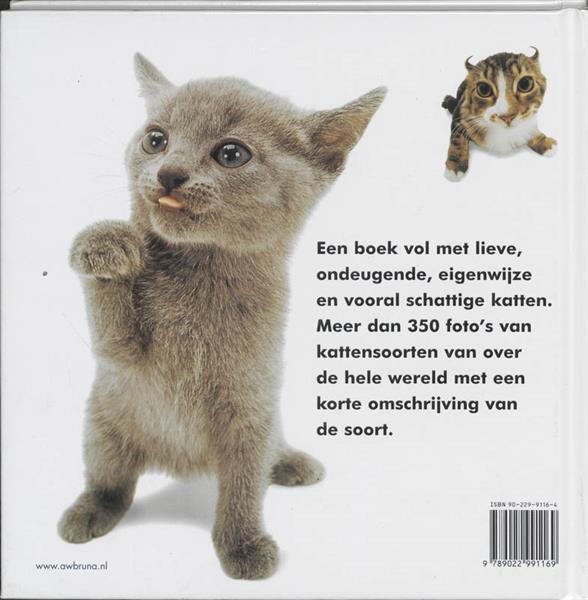 Grote foto the cat boeken hobby en vrije tijd