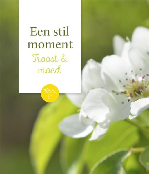 Grote foto troost moed een stil moment boeken overige boeken