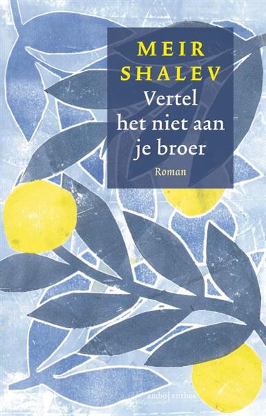 Grote foto vertel het niet aan je broer boeken overige boeken