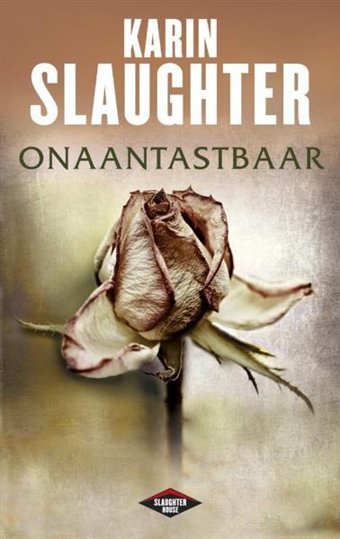 Grote foto onaantastbaar grant county 6 boeken thrillers