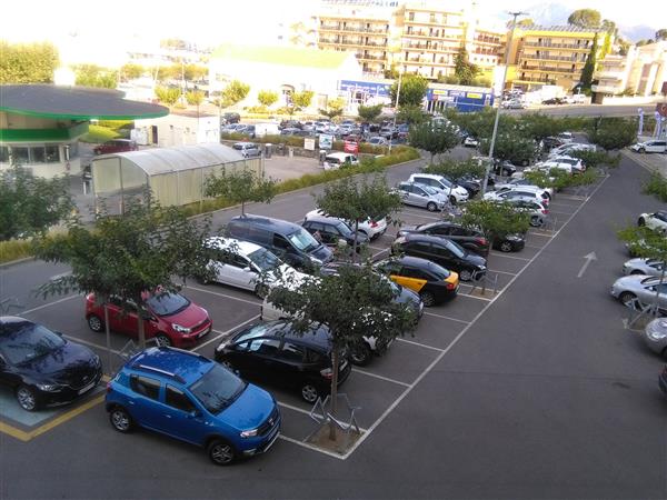 Grote foto rosas genieten van de voorjaarszon vakantie spanje