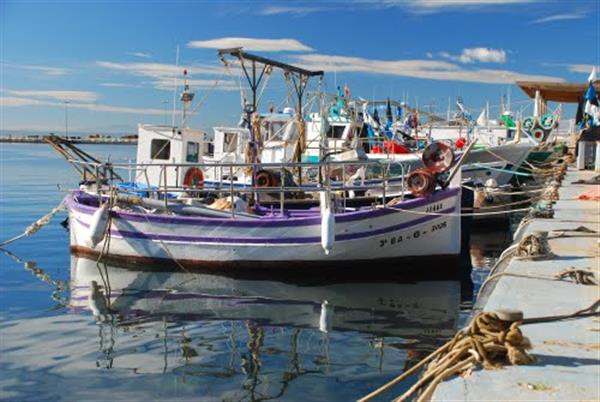 Grote foto rosas genieten van de voorjaarszon vakantie spanje