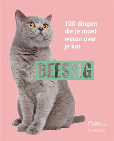 Grote foto beestig katten boeken hobby en vrije tijd