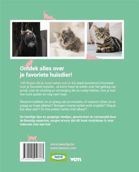 Grote foto beestig katten boeken hobby en vrije tijd