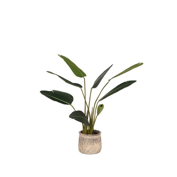 Grote foto kunstplant strelitzia 70x70x100 cm huis en inrichting eettafels