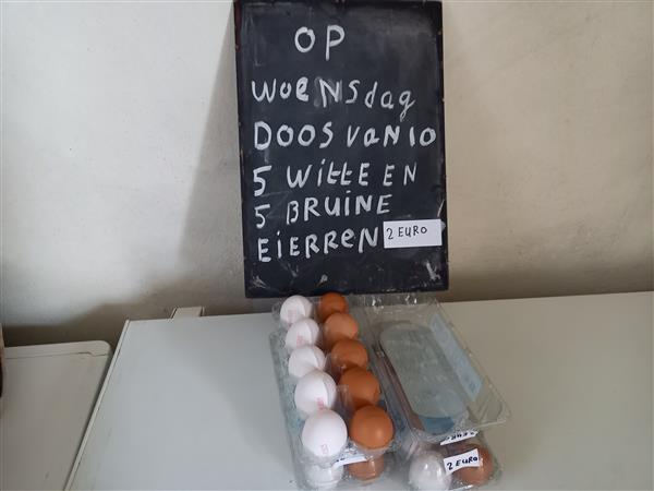 Grote foto vrouw voor vriendschap erotiek man zoekt vrouw