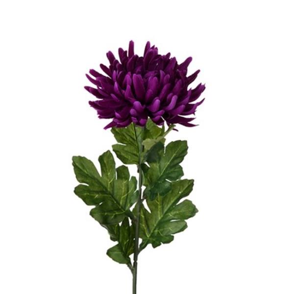 Grote foto chrysant single large chrysanthemum purple st zijdebloem zijdebloem bloomon verzamelen overige verzamelingen