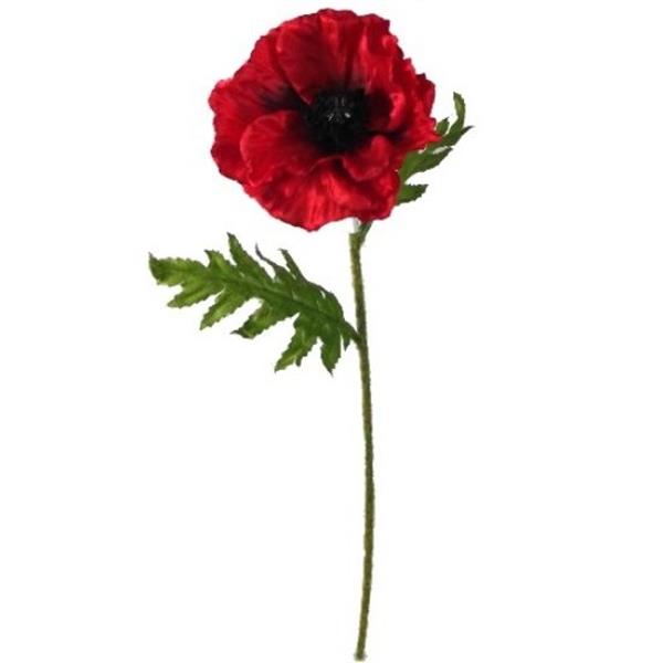 Grote foto papaver 57 cm single poppy red zijdebloem stuk zijdebloemen verzamelen overige verzamelingen