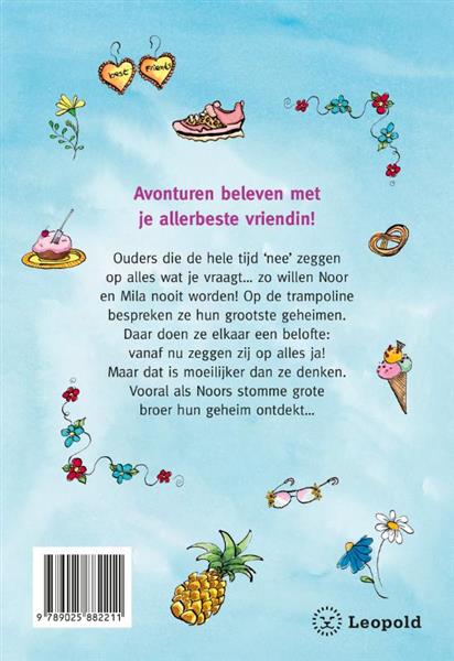 Grote foto het knettergekke plan van noor mila boeken jeugd 13 jaar en ouder