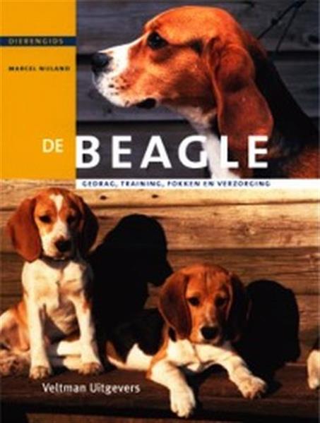 Grote foto dierengids de beagle dierengids boeken hobby en vrije tijd