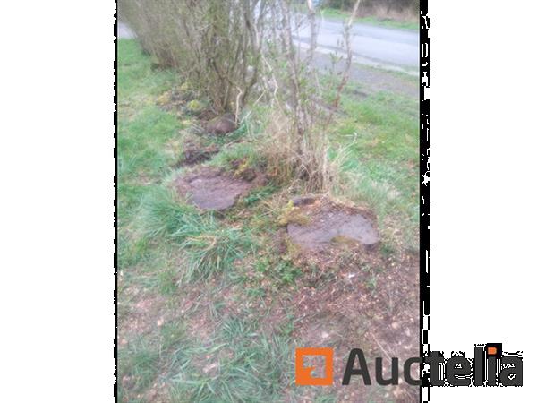 Grote foto rupsbandstronkenfrees agrarisch algemeen