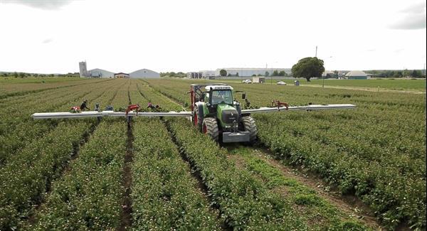 Grote foto vdr oogstband voor bloemen met platform agrarisch aanhangwagens