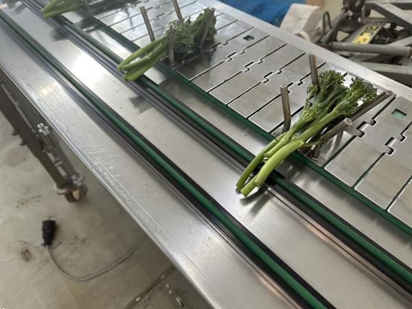 Grote foto srotec bos en snijmachine voor kruiden en asperges agrarisch tuinbouw