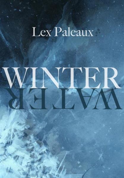 Grote foto lex paleaux 2x winterwater het leven is een boeken literatuur