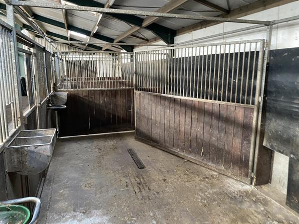 Grote foto paardenboxen 350 x 300 draaibaar 9 stuks agrarisch stallen