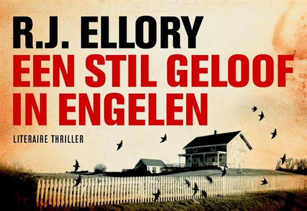 Grote foto een stil geloof in engelen dwarsligger 165 boeken thrillers