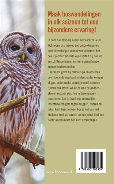 Grote foto het bos boeken hobby en vrije tijd