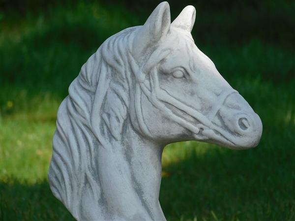 Grote foto set van 2 paardenhoofden steen wit met grijs tuin en terras tuindecoratie