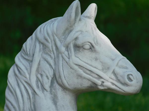 Grote foto set van 2 paardenhoofden steen wit met grijs tuin en terras tuindecoratie