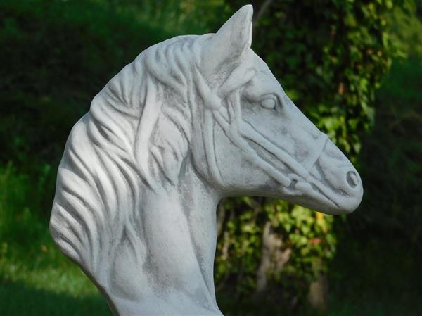 Grote foto set van 2 paardenhoofden steen wit met grijs tuin en terras tuindecoratie