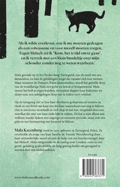 Grote foto het meisje de kat en het bos boeken hobby en vrije tijd