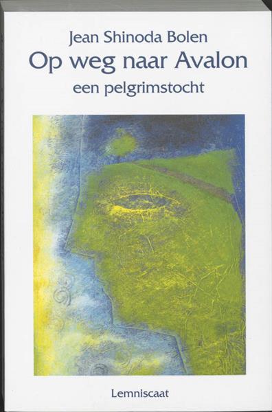 Grote foto op weg naar avalon ontwikkelingen in de jungiaanse psychologie boeken psychologie