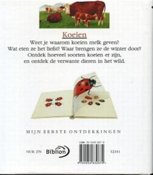 Grote foto koeien mijn eerste ontdekkingen boeken jeugd 13 jaar en ouder