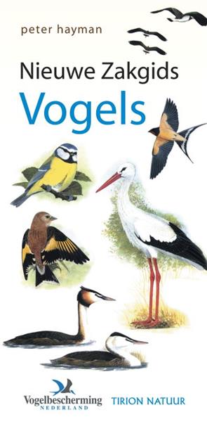 Grote foto nieuwe zakgids vogels hayman zakgids boeken hobby en vrije tijd