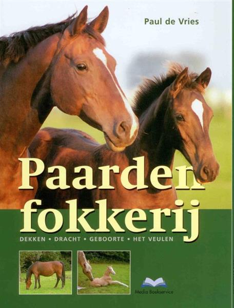 Grote foto paardenfokkerij boeken hobby en vrije tijd