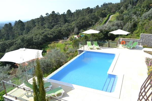 Grote foto villa with infinity pool awesome coastal views vakantie portugal